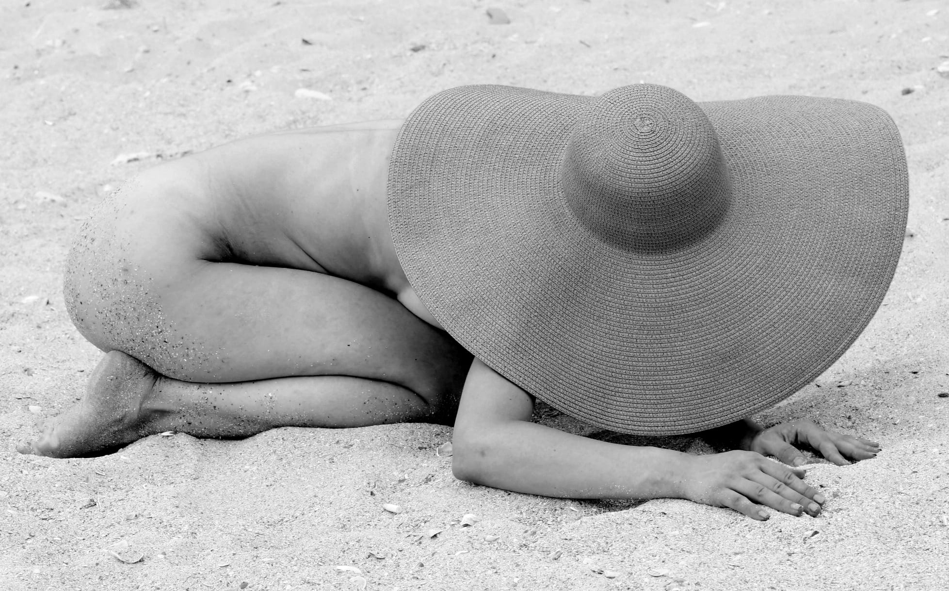 Sand Cradle — Coastal Silence